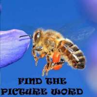 Find The Picture Word