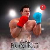 Real Boxing 2020 : Boxing 3D Fighting Game