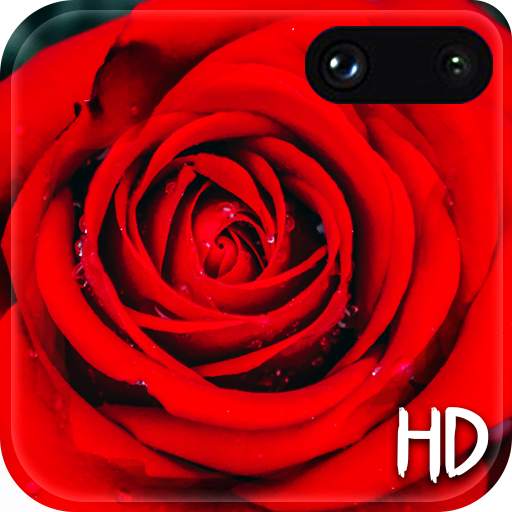 Red Rose Live Wallpaper :HD 2020