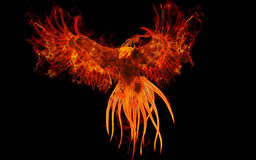 Pin by wys on 112  Phoenix artwork Phoenix wallpaper Phoenix bird art