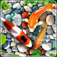 Fish Live Wallpaper 3D