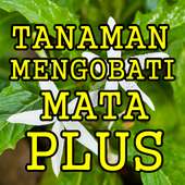 Tanaman Herbal Menyembuhkan Mata Plus on 9Apps