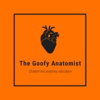 The Goofy Anatomist: Thorax Anatomy MedEd App