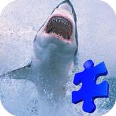 Hungry Shark Jigsaw Puzzle Game