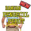 Ramuan Herbal Alami Untuk Mengecilkan Perut