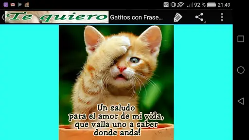 Gatitos con Frases de Amor APK Download 2023 - Free - 9Apps