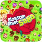 Guide For Blossom Blast Saga Cherry