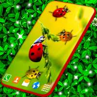 Cute Ladybug Live Wallpaper