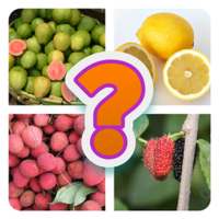 Guess Fruit - Quiz Game