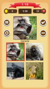 Quiz da Maromba APK Download 2023 - Free - 9Apps