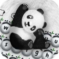 Lucu Panda-Panda Keyboard