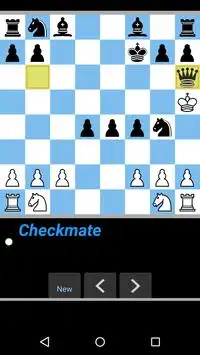 Magnus Carlsen with 30 seconds VS Manager Agdestein with 3 minutes 