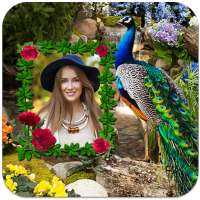 Peacock Photo Frames on 9Apps