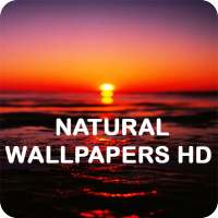 Natural HD Wallpapers 2020 on 9Apps