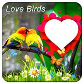 Aşk Kuşları Fotoğraf Çerçeveleri on 9Apps