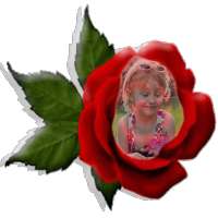 Red Rose Photo Montage
