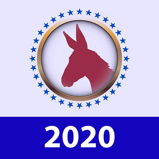 Democratic Election 2020