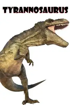 →