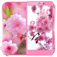Blossom Sakura Live Wallpaper
