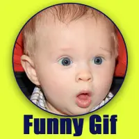 Funny Video GIF APK Download 2023 - Free - 9Apps