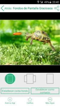 Descarga de la aplicación Fondos de Pantalla Graciosos 2023 - Gratis - 9Apps Descarga de la aplicación Fondos de Pantalla Graciosos 2023 - Gratis - 9Apps