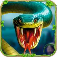Öfkeli yılan simülatörü