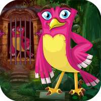 Kavi Escape Game 537 Rosy Bird Rescue Game