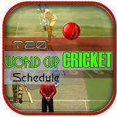 T20 world cup cricket schedule