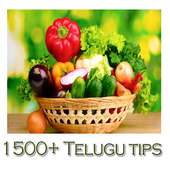 1500  Telugu Tips