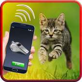 مكافحة القط طارد - القط الحقيقي الأصوات  مدرب القط on 9Apps