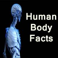 Human body facts