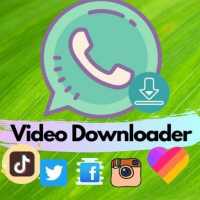 Status Saver 2020📥: Social Media Video Downloader