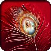 Peacock Feathers HD Photo Frames DP Maker