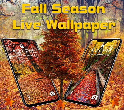 100 Fall Iphone Wallpapers  Wallpaperscom