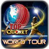 Top Cricket World Tour