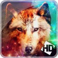 Best Wolf Wallpapers HD