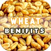 Wheat Benefits on 9Apps