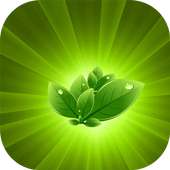 Ayurvedic Upchar on 9Apps