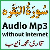 My Surah Baqrah Audio M Ayub on 9Apps