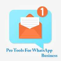 Pro Tools For WhatsApp Business