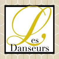Les Danseurs Dance and Art Academy