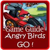 Guide Angry Birds Go