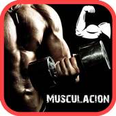 Ejercicios de Musculación