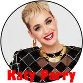 Katy Parry - Top Music Offline on 9Apps