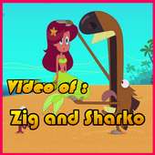 Video Of Zig and Shargo