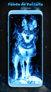 Descarga de la aplicación Fondo de Pantalla de Lobo Azul 2023 - Gratis -  9Apps