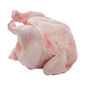 Chicken Meat