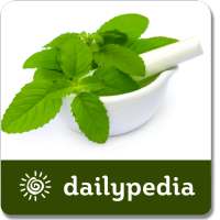 Holy Basil Daily