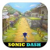 guide  for  sonic dash