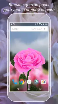 Розы обои на телефон высокого качества x, скачать вертикальные картинки на заставку